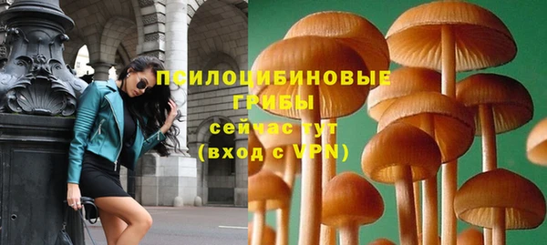 марки nbome Каменка